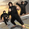 Superhero Vs Apes Game - Gorilla Attack in City