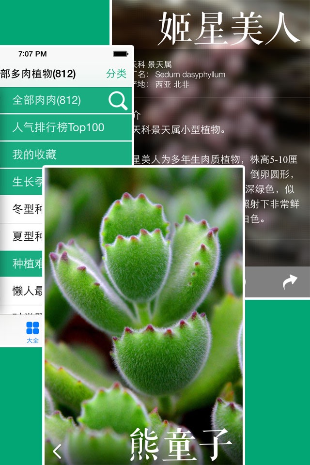 多肉植物 screenshot 4