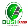 Bush Radio NG