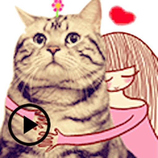 Animated Funny Cat and Friends icon