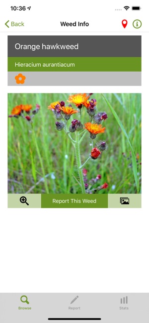 Report a Weed(圖3)-速報App