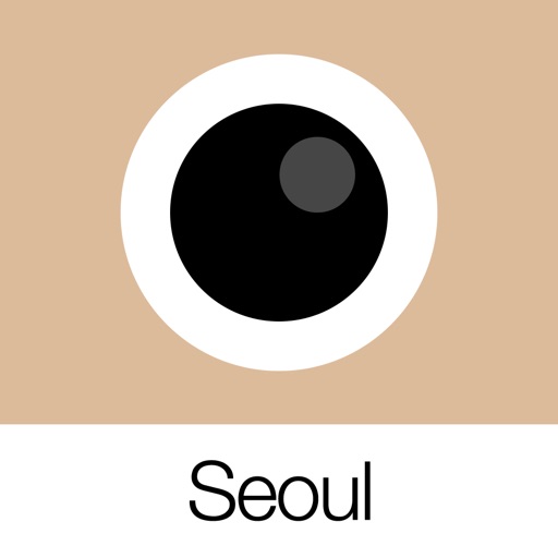 Analog Seoul Icon