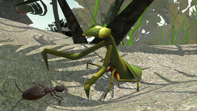 Ant Simulation 3D(圖5)-速報App