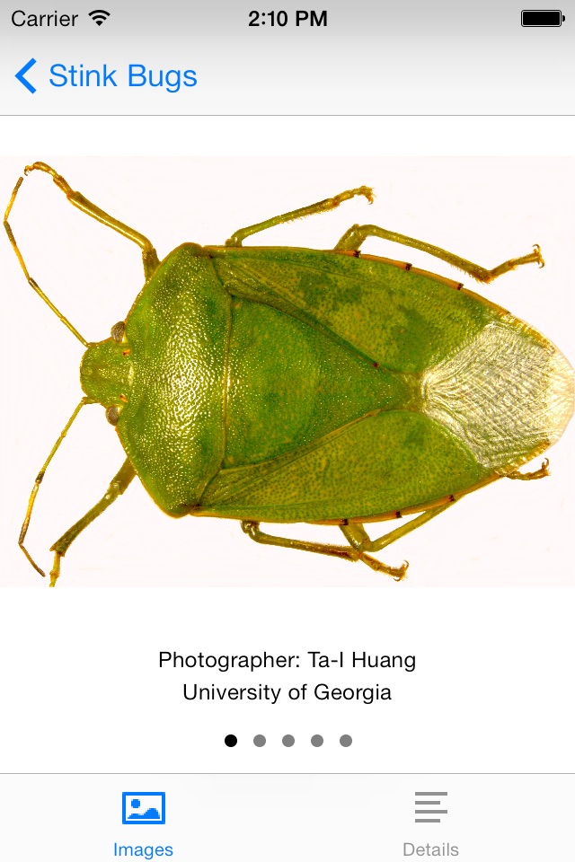 SE Agricultural Stink Bug ID screenshot 4