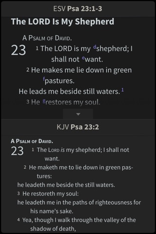 ESV Strong's Bible screenshot 3