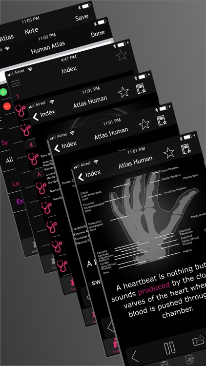 Human Anatomy  Encyclopedia