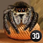 House Spider Survival Simulator 3D