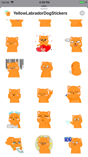 Yellow Labrador Dog Stickers(圖3)-速報App