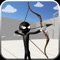 Become a stickman archer hero