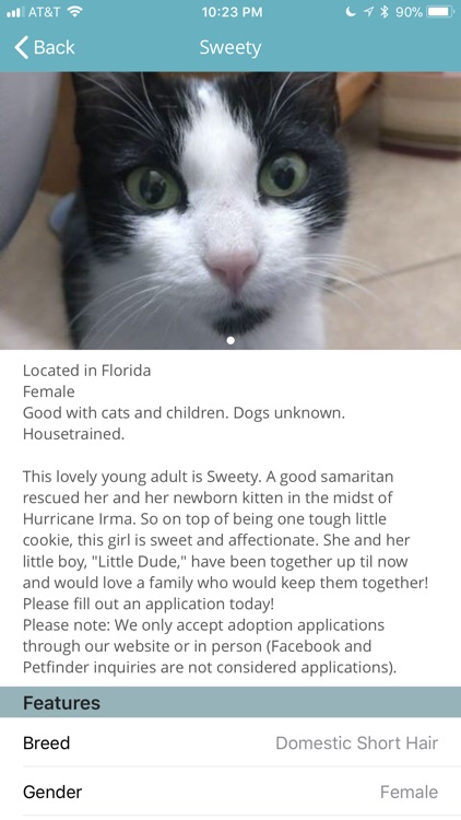 Pet Adoptions - CFO screenshot-4