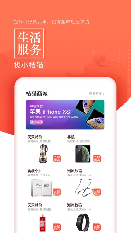 小桔猫
