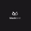 Blackbird