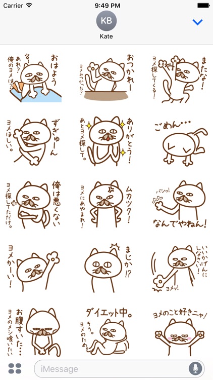 嫁がほしい猫