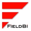 FieldBi RT