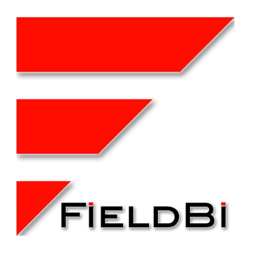 FieldBi RT