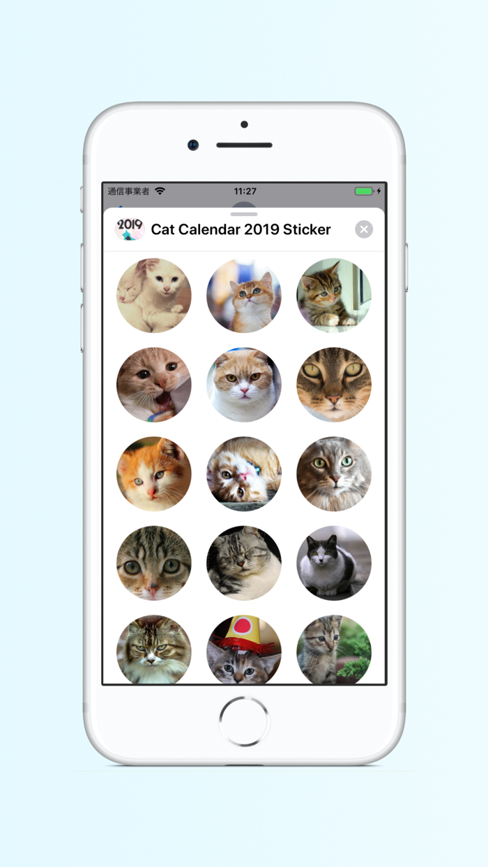 Cat Calendar 2019