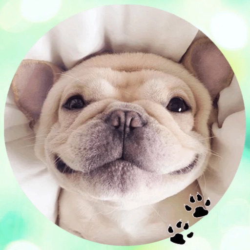 Bulldog! Stickers iOS App