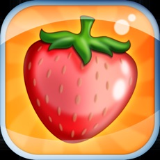 Activities of Fruit Memory FX3X