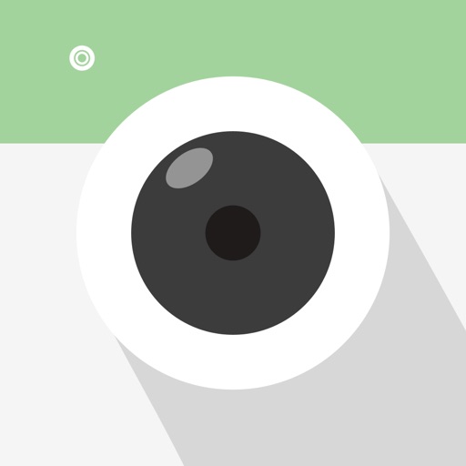 PIP Camera Split Pic Editor iOS App