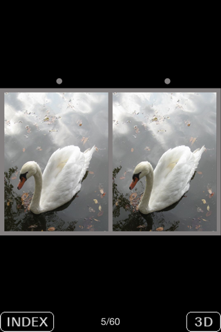 3D Popup Swan screenshot 4