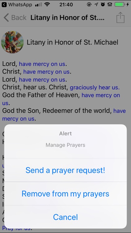 Saint Michael Prayers screenshot-3