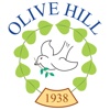 Olive Hill Primary School (B62 8JZ)