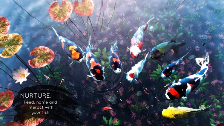 My Koi screenshot-3
