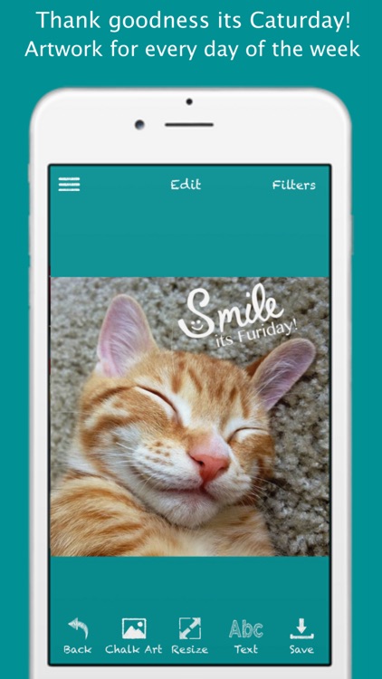 Cat Chalk screenshot-0