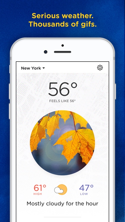 Basic Weather: Gifs & Weather