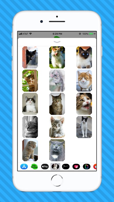 Cat Photo Stickers screenshot 3
