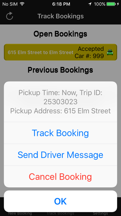 Find Reading Metro Taxi screenshot 3
