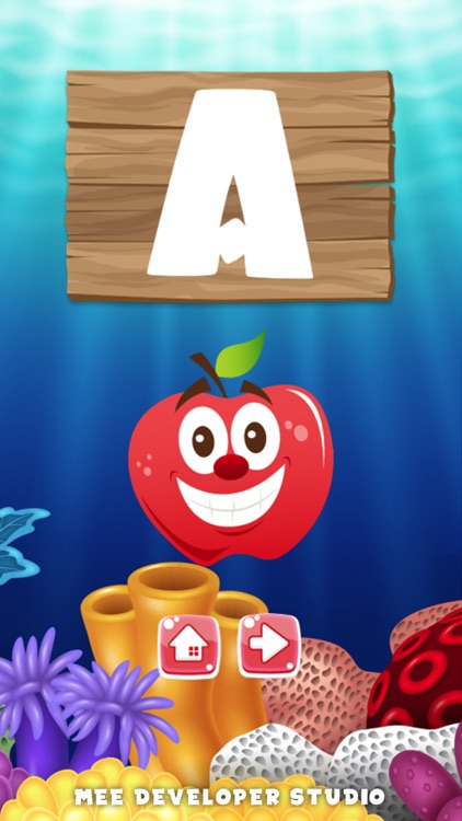 ABC-Z Alphabet Letter English