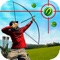Do you love 3D archery games with bow and arrow in hand
