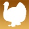 Turkey Calls is a handy application that will allow you to listen to a variety of turkey calls while hunting, practicing your own calls against real calls or just to goof around with friends and family