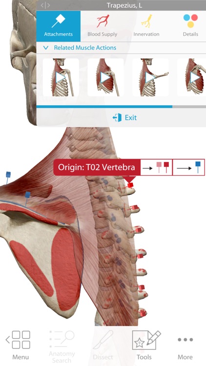 visible body human anatomy atlas for pc