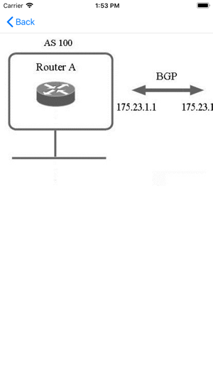 ExamSim For CCNP Route 300-101(圖7)-速報App