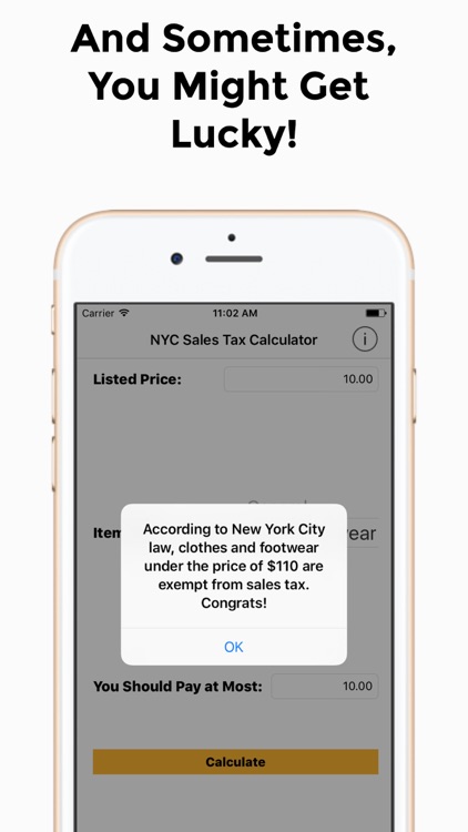 Calc NYC screenshot-3