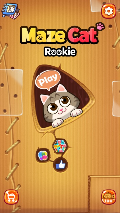 Maze Cat - Rookie
