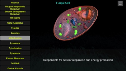 Cell Biology Tutor screenshot 3