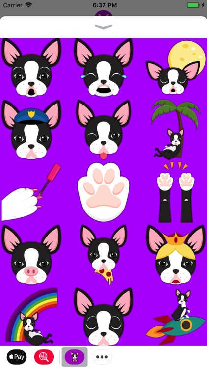 Black Boston Terrier Emoji screenshot-3