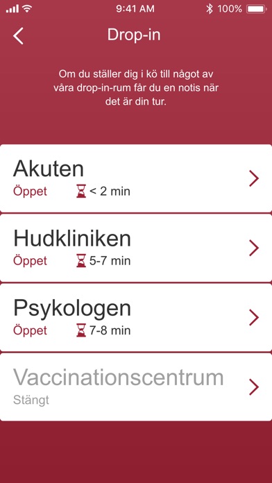 Ungdomsmottagning online VGR screenshot 3