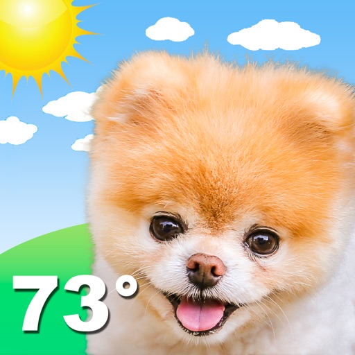 Boo Weather
