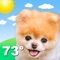 Smile every time you check the weather with Boo