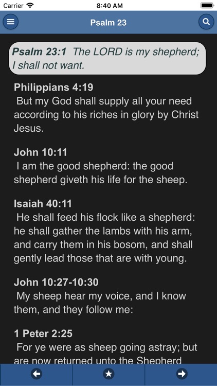 VerseVIEW Mobile Bible screenshot-3