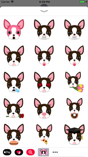 Animated Brindle Boston(圖2)-速報App