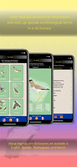 Game screenshot The Birds of Colombia hack