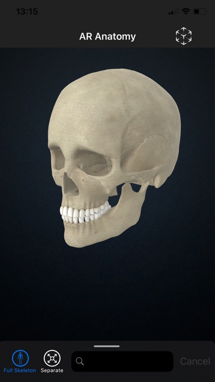 AR Anatomy: Skeleton