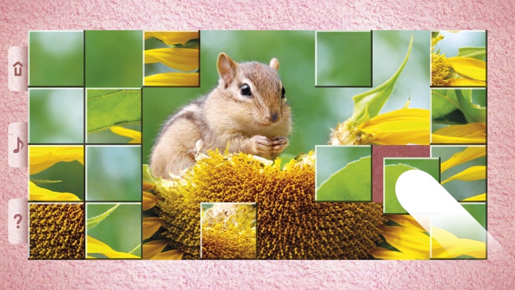 Little Animal Puzzles