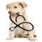 Petopedia helps to find NGO, Clinic, Medicals and Stores for your pet in your area