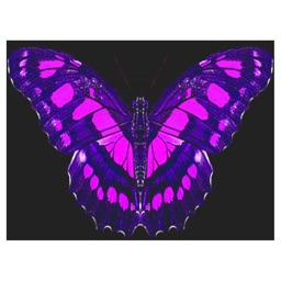 Butterfliestry